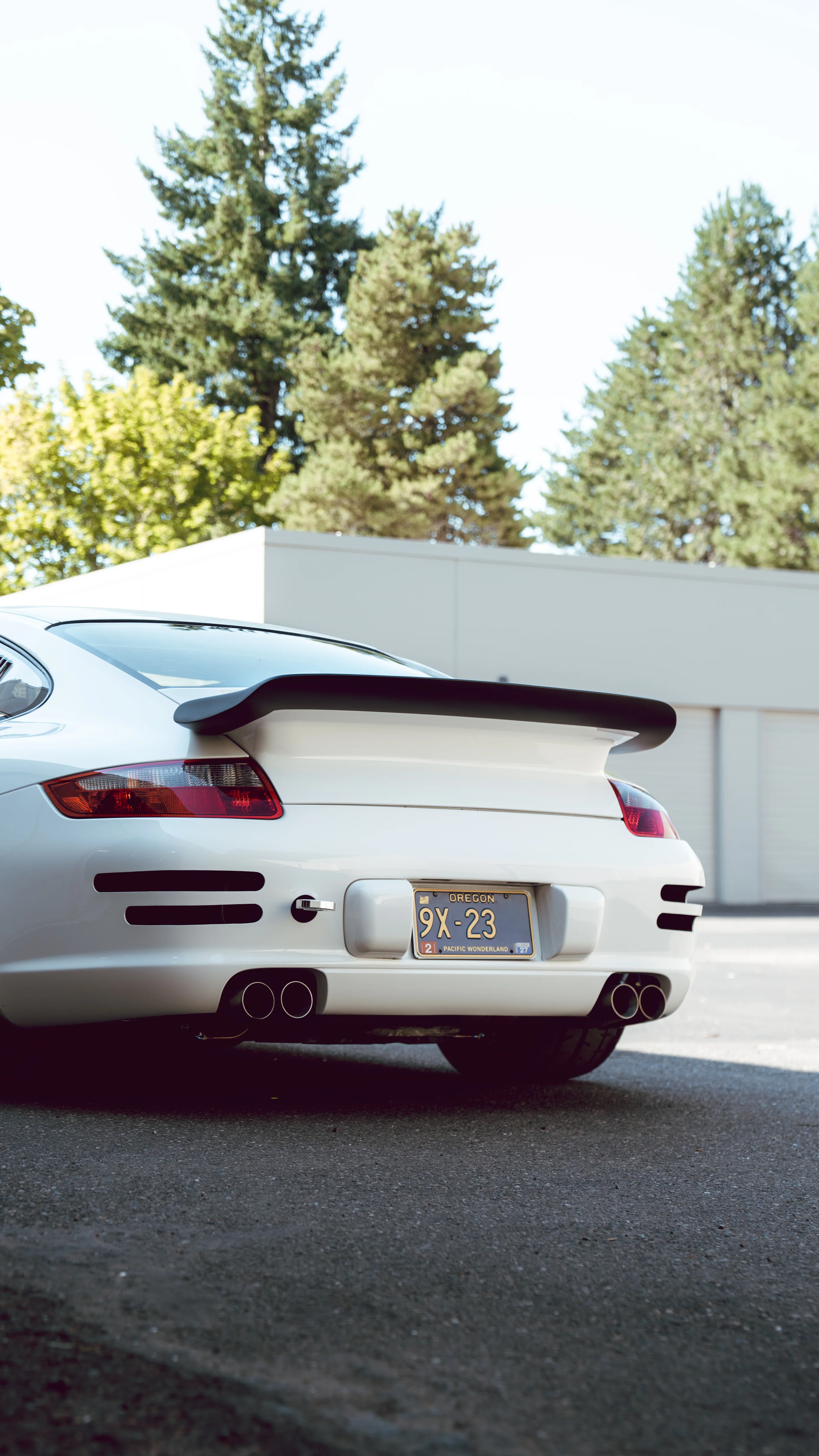 RENEGADE 997 WHALE TAIL - Image 6