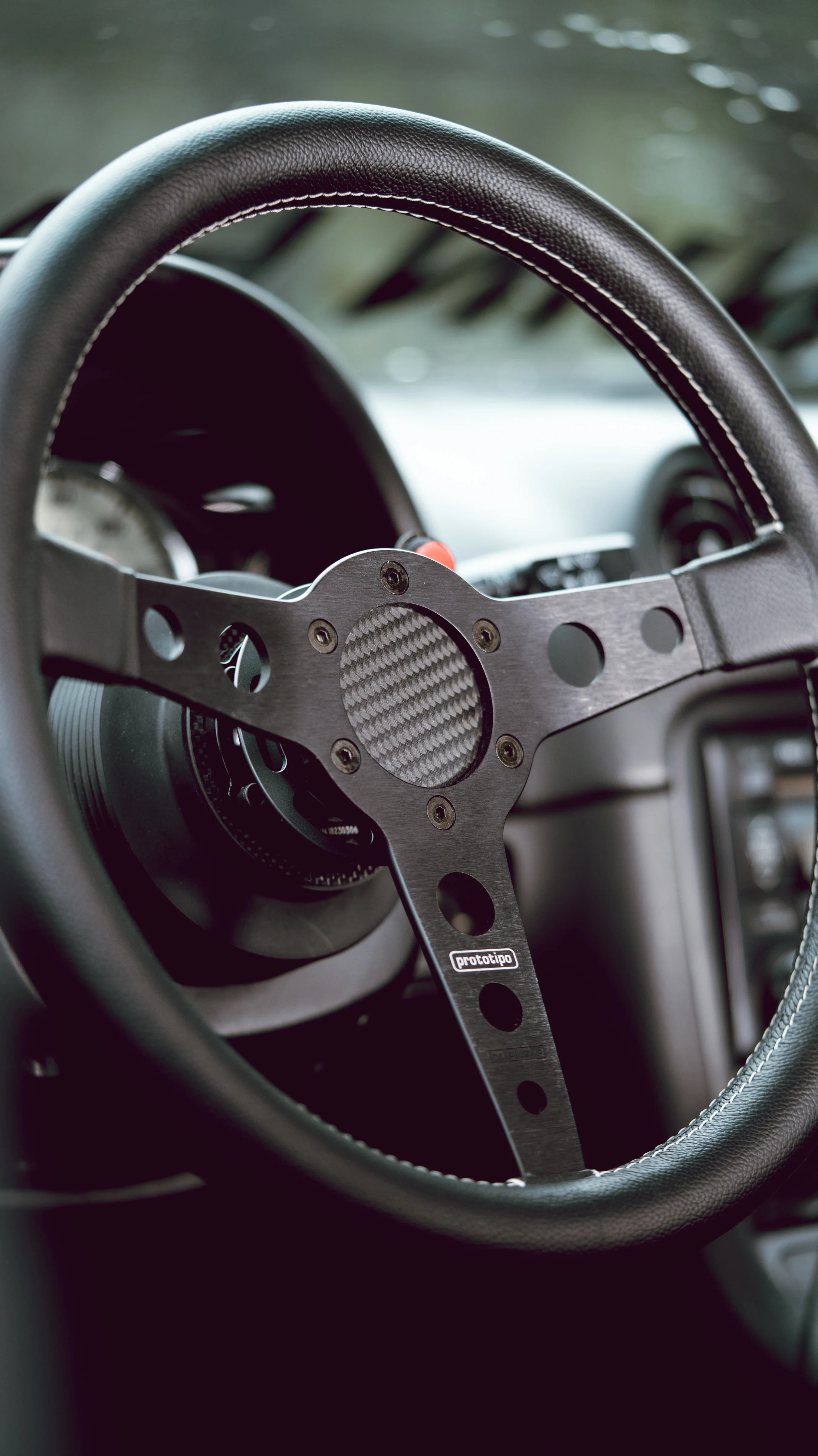 RENEGADE CARBON HORN DELETE - Image 4