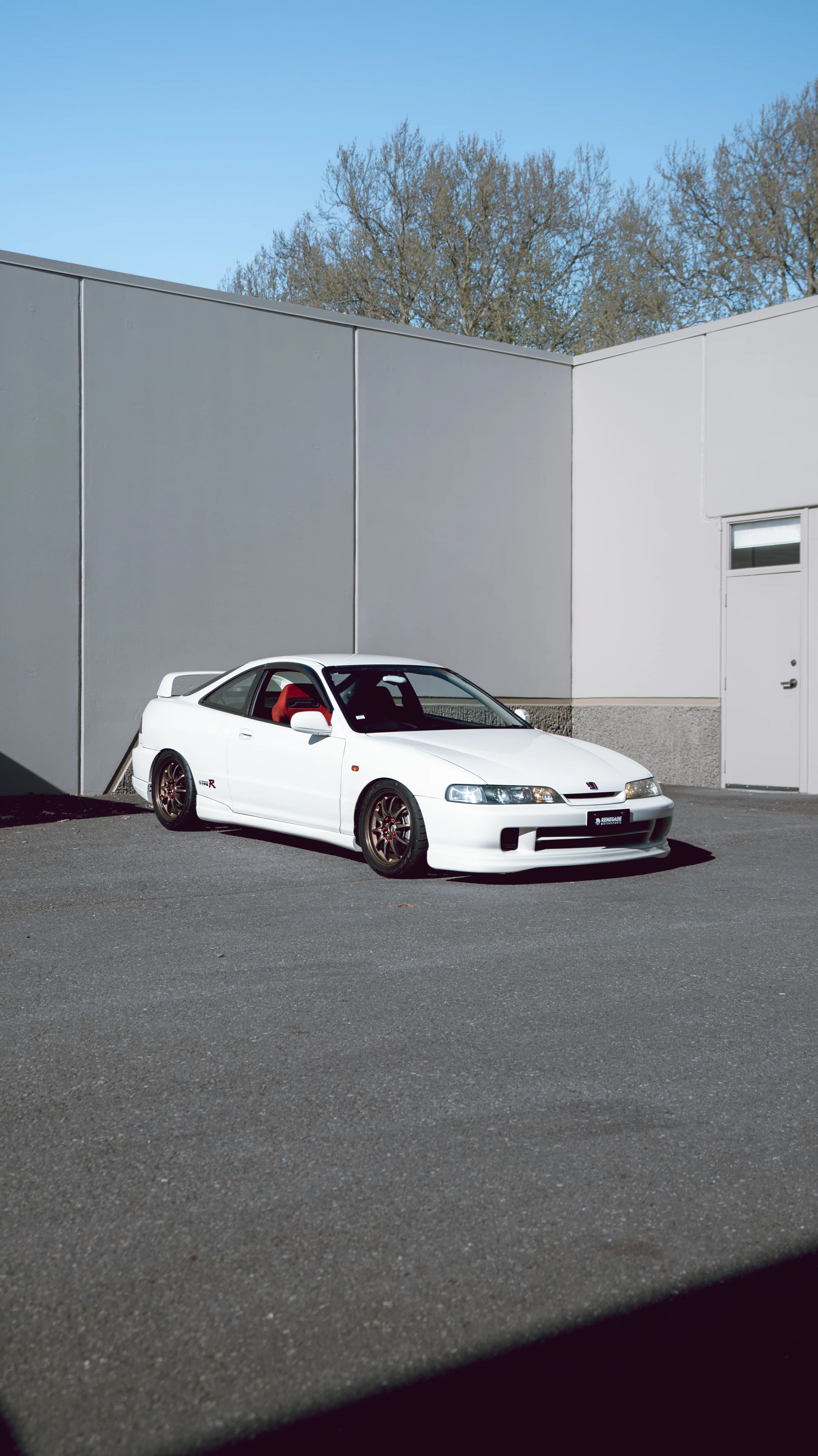 RENEGADE CARBON JDM VANITY PLATE - Image 6