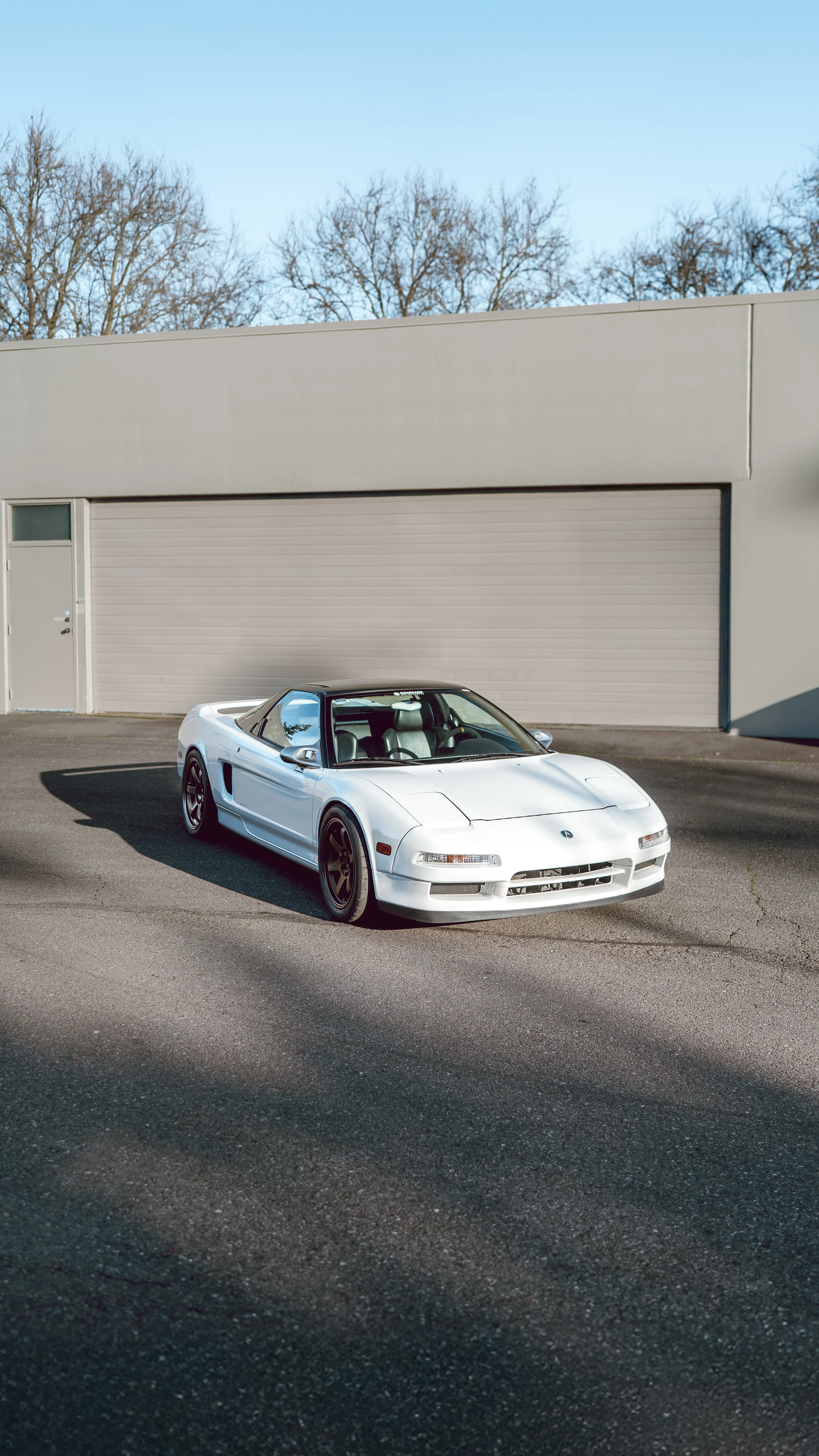 RENEGADE NSX AERO MIRRORS - Image 3