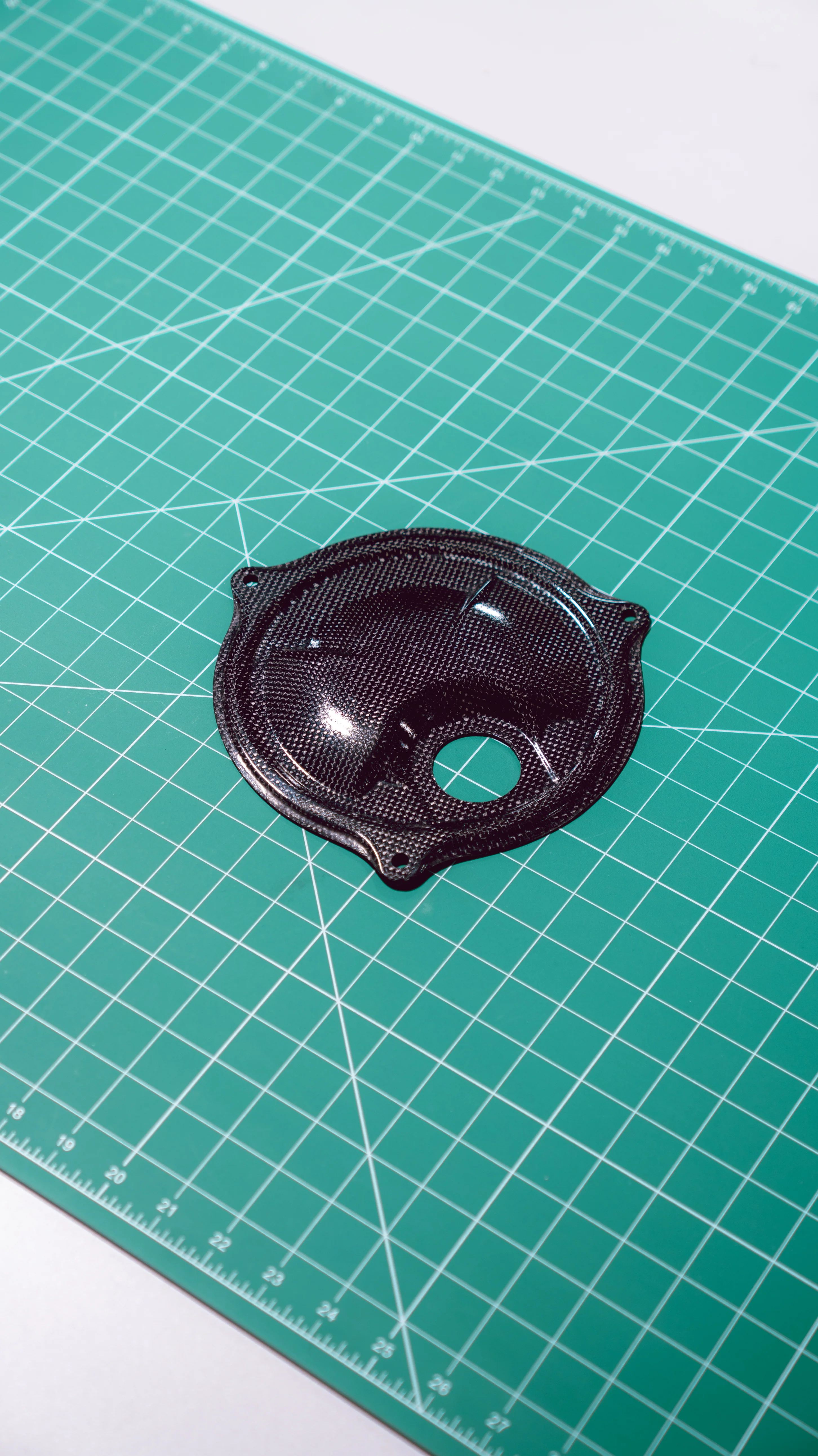 RENEGADE S2000 CARBON FUEL PUMP COVER - Image 6