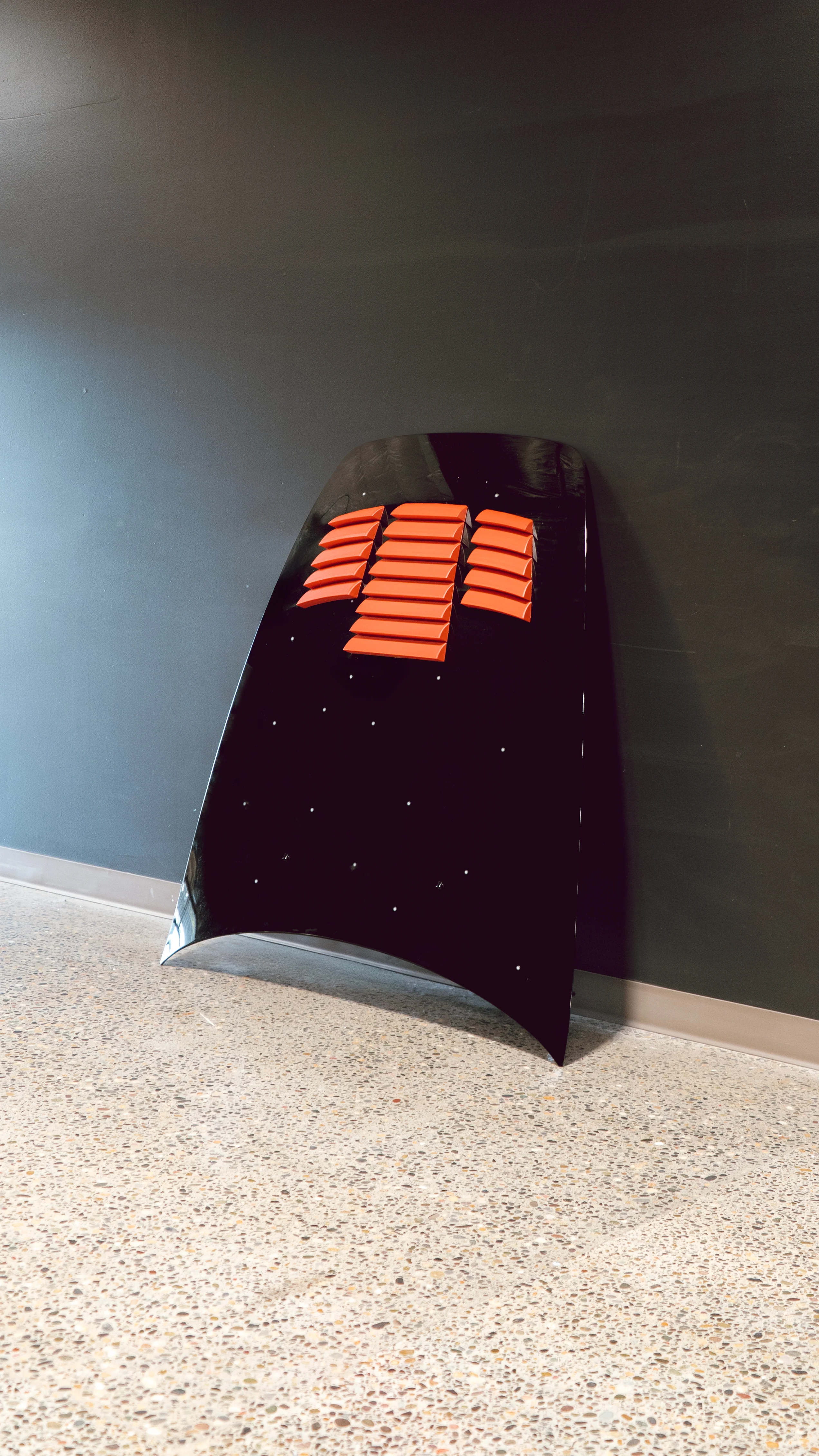 RENEGADE S2000 CARBON RACE HOOD - Image 3